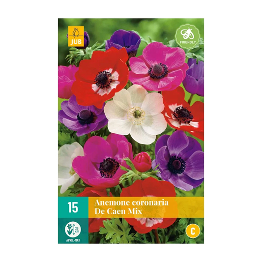 Anemone De Caen Mischung