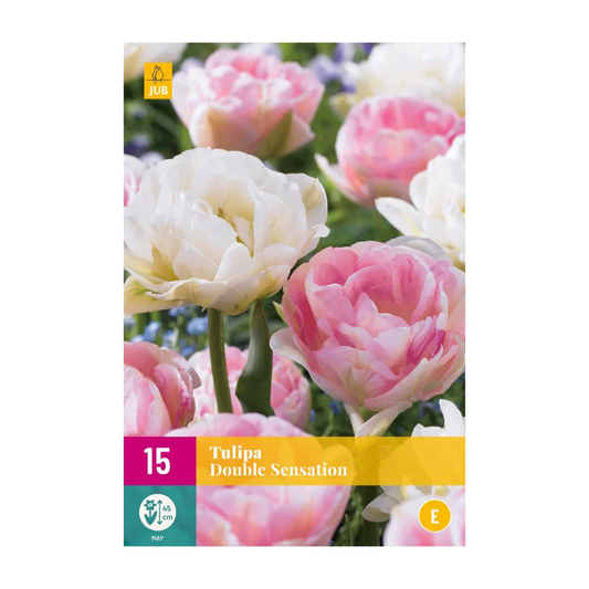 Tulpen Double Sensation Mischung