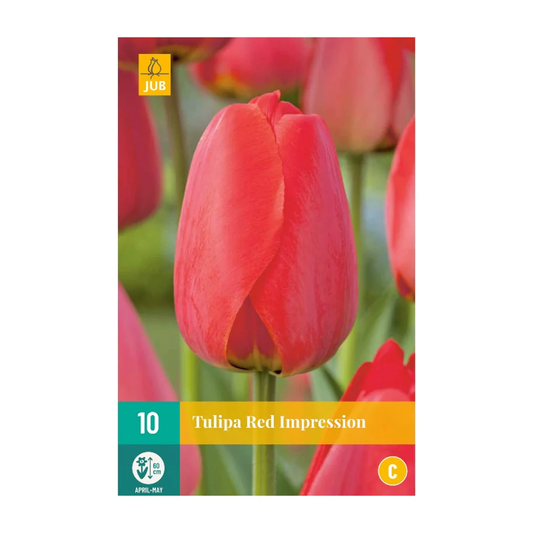 Tulpen Red Impression