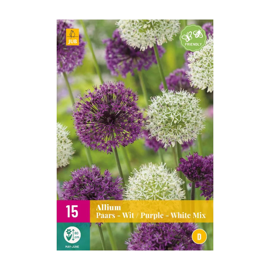 Zierlauch Allium Violett-Weiss mischung