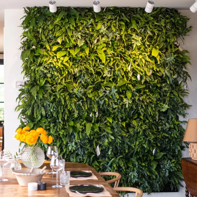 Pflanzenwand LivePanel Pack 248 x 206 cm