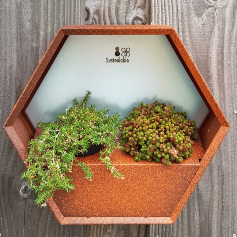 Susteelable Wandblumenkasten orange