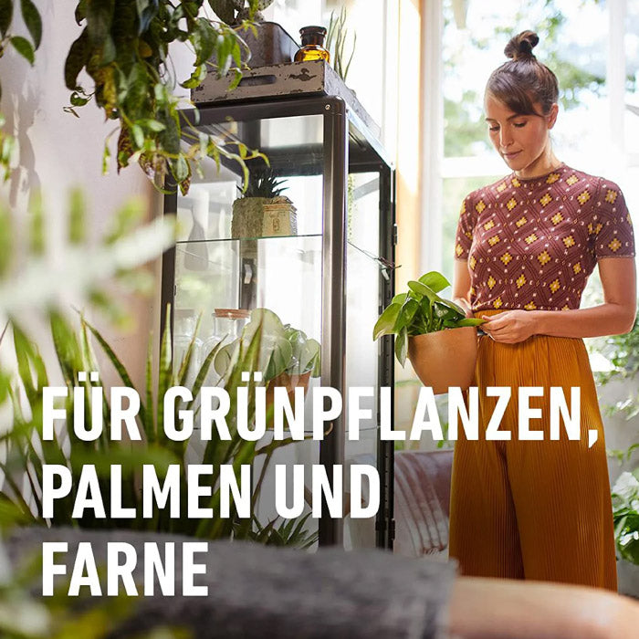 COMPO SANA® Grünpflanzen- und Palmenerde