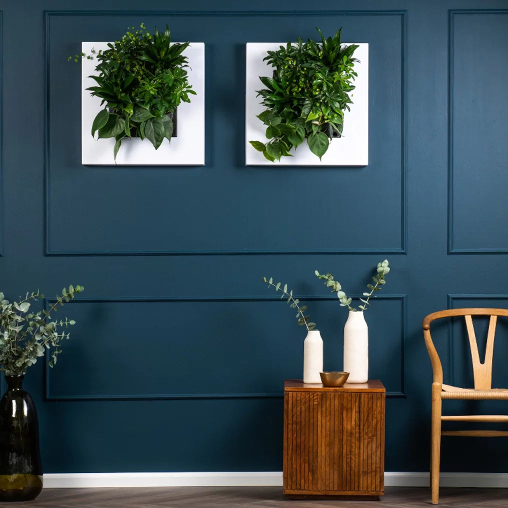 Pflanzengemälde LivePicture Go weiß