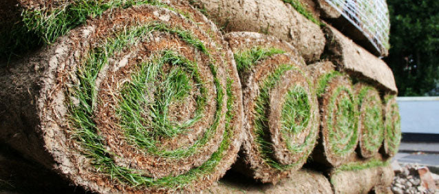 Rollrasen online kaufen Schnell geliefert Gartencenter.de