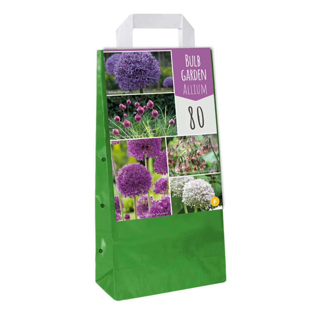Blumenzwiebeln Tasche 'Bulb Garden Allium' Mischung