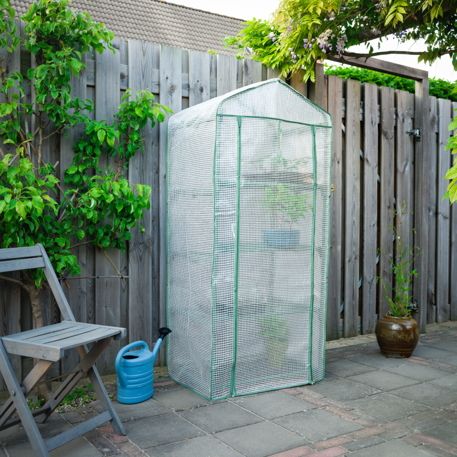 Tomatengewächshaus mit 4 herausnehmbaren Böden H160 x 69 x 49 cm
