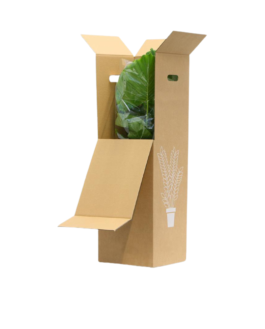 Große Box