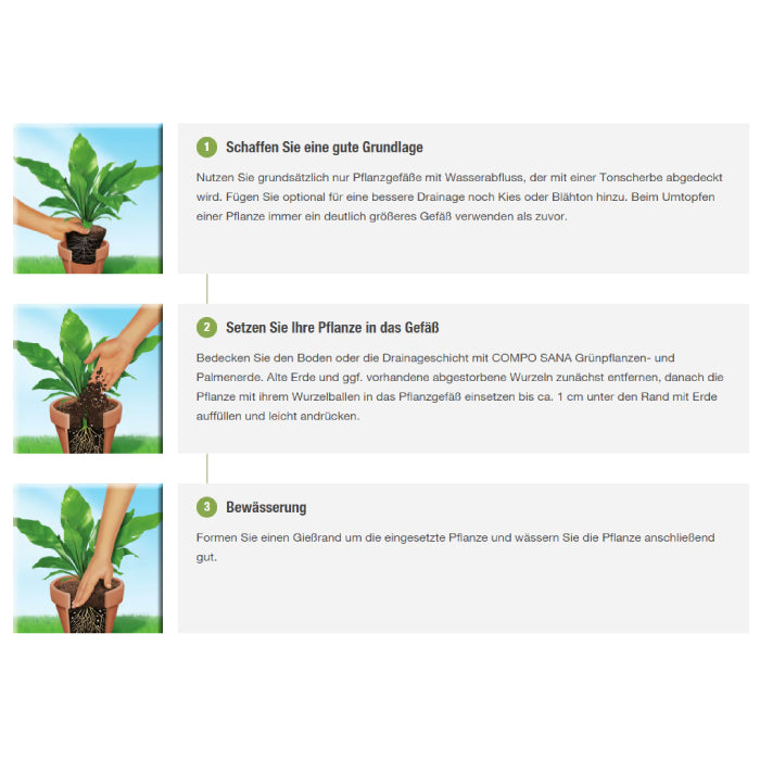 COMPO SANA® Grünpflanzen- und Palmenerde
