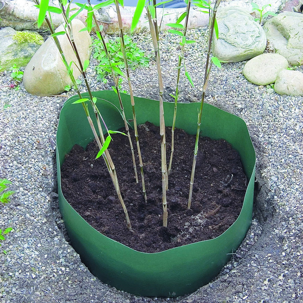 BambusWurzelsperre grün kaufen Gartencenter.de